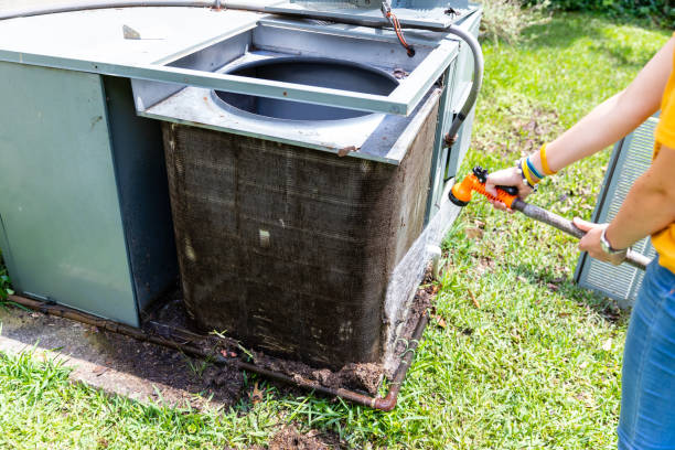 Best Ductwork Cleaning Services  in Wayland, MI