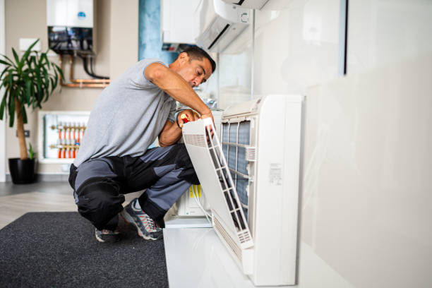 Best Air Duct Cleaning Near Me  in Wayland, MI