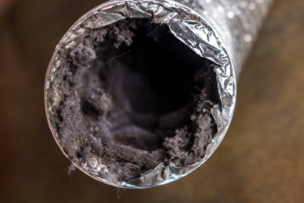 Trusted MI Airduct Cleaning Experts