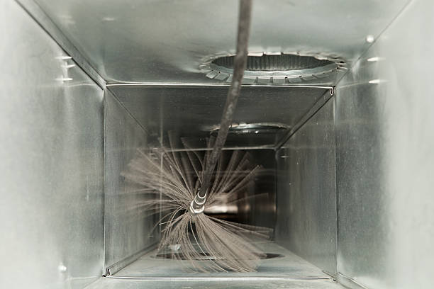 Best Duct Cleaning Specialists  in Wayland, MI