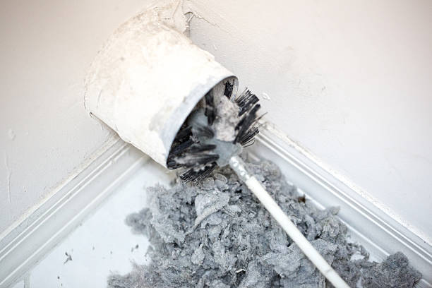 Best Dryer Vent Cleaning Services  in Wayland, MI