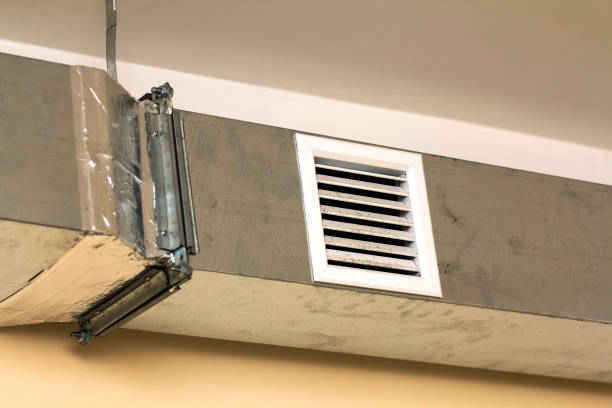 Best Local Air Duct Cleaning Services  in Wayland, MI